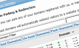 {{domain_manager_paragraph_3_title}} {{domain_manager_paragraph_3_title}}